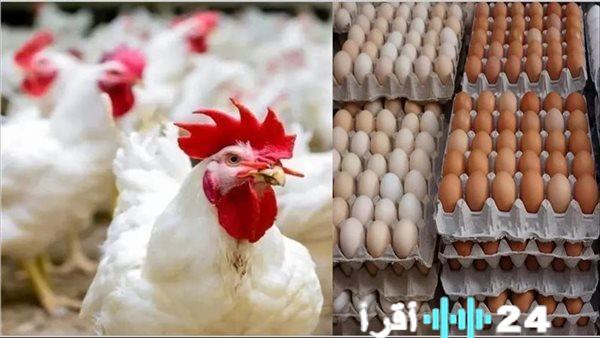 «بوصلة الأسعار» آخر تطورات سوق البروتين الأبيض بمصر الأحد