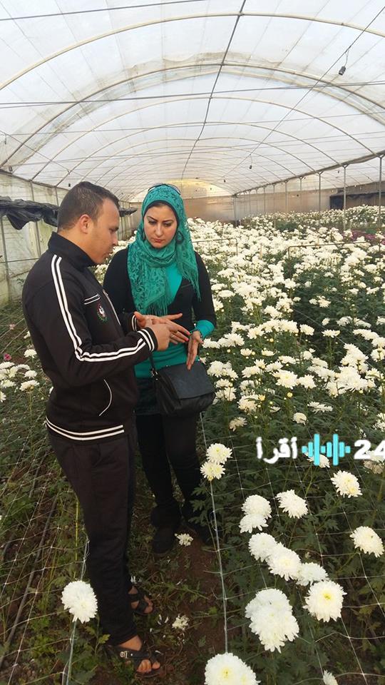 «تألق الزهور في قرية دار الكتب: استعدادات مميزة لبورصة الورد بمناسبة رأس السنة»