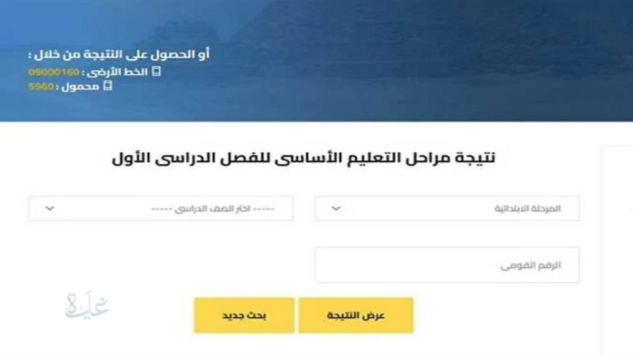 نتائج صفوف النقل بالقاهرة 2026 استعلم الآن مقابل 25 جنيها فقط