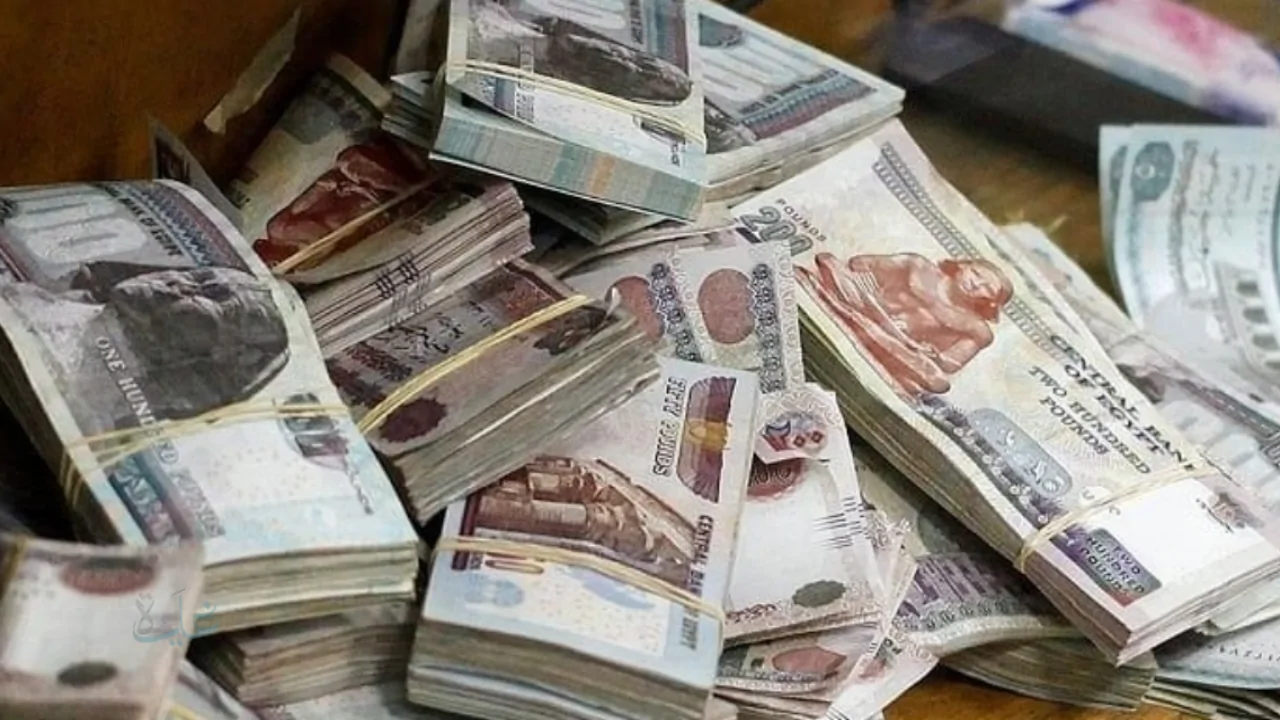 «كل ما تريد معرفته الآن» معاشات فبراير 2026 الموعد الرسمي وحقيقة الزيادة وأماكن الصرف وطرق الاستعلام بالرقم القومي