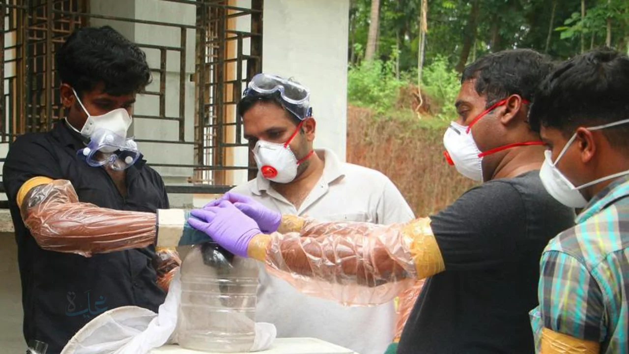 «فيروس نيباه يثير القلق عالمياً» منظمة الصحة العالمية تقدم الحقائق الجديدة حول المخاطر المنتشرة