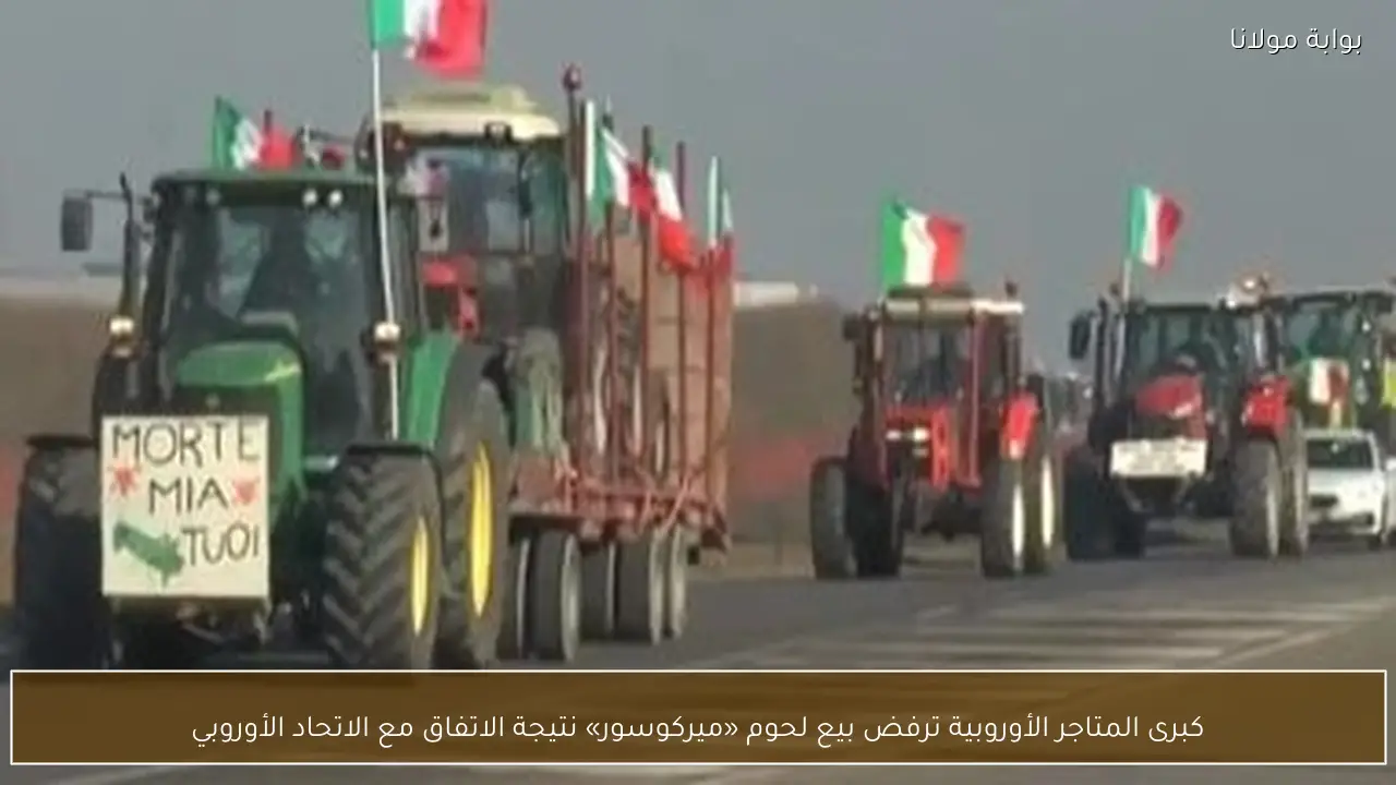 كبرى المتاجر الأوروبية تتجنب出售 لحوم ميركوسور في ظل الاتفاق مع الاتحاد الأوروبي