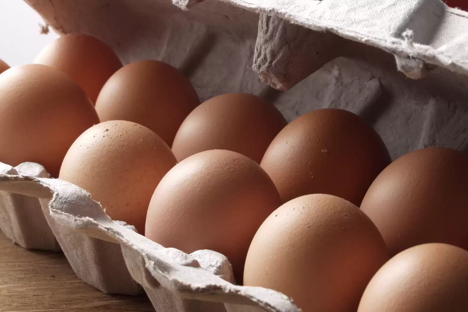 أسعار كرتونة البيض اليوم في مصر استقرار الأبيض والأحمر والبلدي في الأسواق