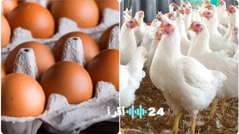 «مائدة المستهلك» كشف الستار عن قيمة طبق البيض والدجاج في السوق المصري السبت