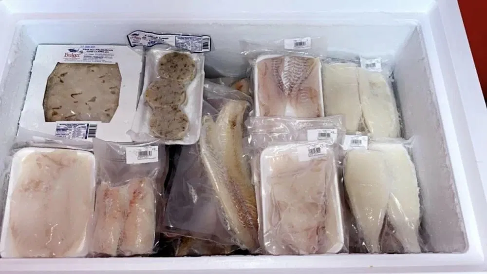 صادرات المغرب من شرائح السمك المجمدة تحقق نمواً ملحوظاً في سوق الشرق الأوسط وشمال إفريقيا