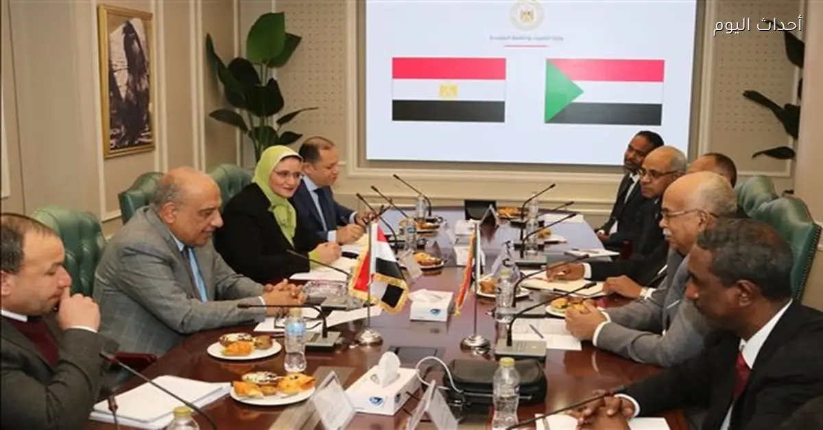 «شراكة استراتيجية» مصر والسودان في مجالات الكهرباء والطاقة المتجددة