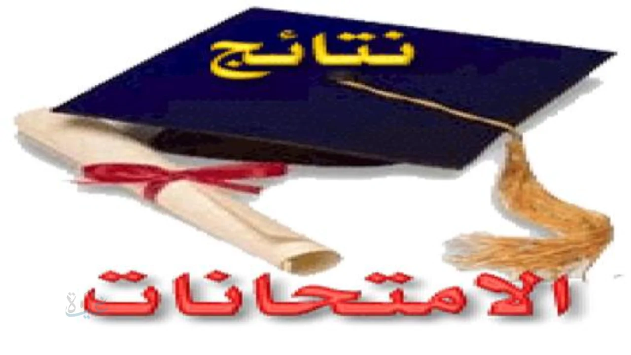 رابط نتيجة الصف الثالث الابتدائي بالاسم ورقم الجلوس وزارة التربية والتعليم