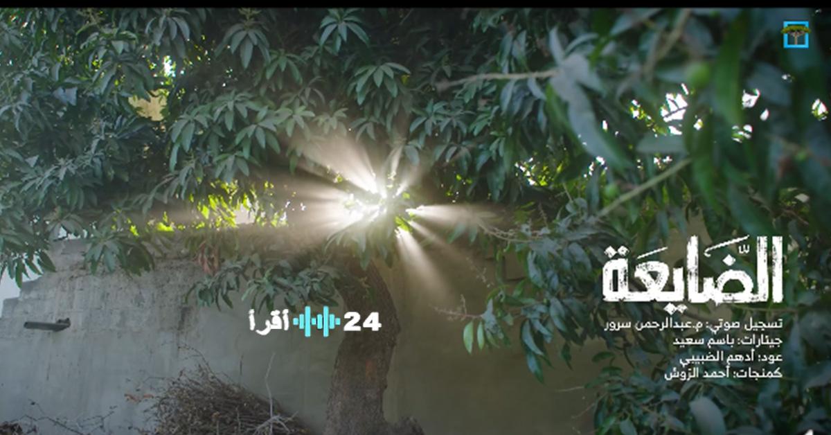 المهرية تكشف موعد عرض مسلسل الضايعة رمضان 2026 وأسماء أبطاله الكاملة