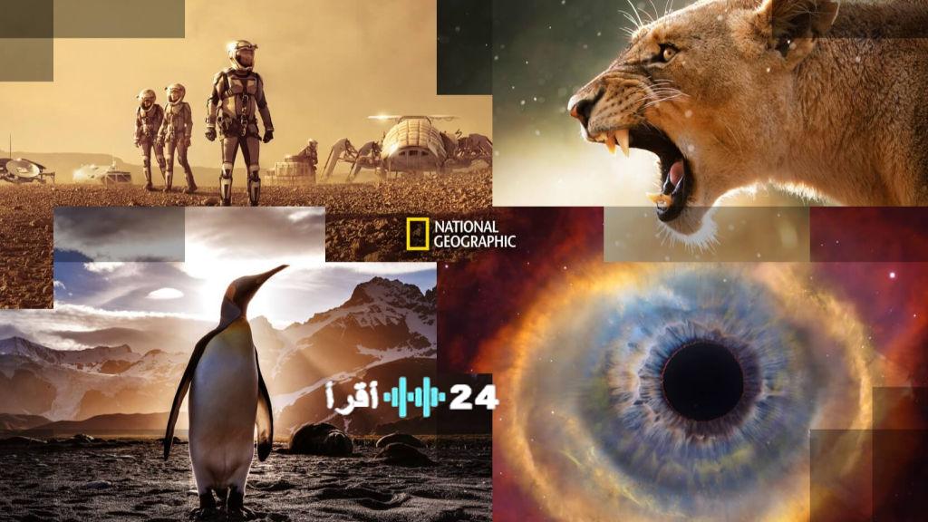تحديث تردد قناة ناشيونال جيوغرافيك 2026 لمتابعة البرامج الوثائقية واستكشاف الطبيعة والمغامرات حول العالم
