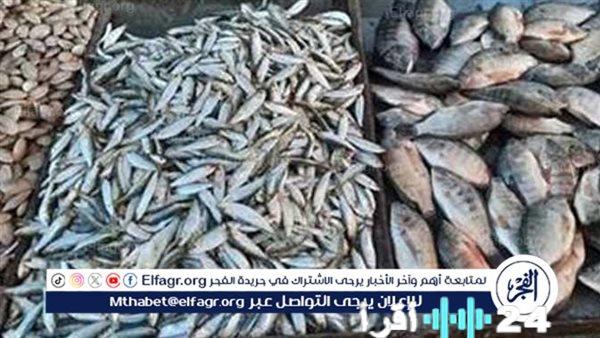 أسعار الأسماك في أسوان ليوم الأحد 1 فبراير 2026