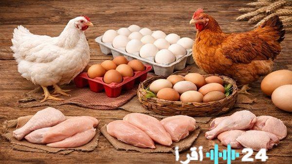 «متابعة حصرية لتفاصيل تهم جيبك ومائدتك» بورصة الدواجن تتنفس كاشفة عن أحدث ديناميكيات السوق
