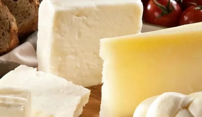 «الجبن ليس مجرد متعة: دراسة تكشف فائدة صحية مذهلة» دراسة علمية حديثة تربط تناول الجبن بانتظام بتقليل ملحوظ لخطر الإصابة بحصوات المرارة