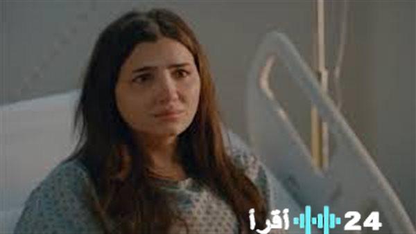 رمضان 2026 مسلسلات القمة تكشف عن نفسها قائمة الأعمال الأكثر مشاهدة