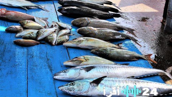 أسعار الأسماك في الأسواق ليوم الأحد 1 فبراير 2026