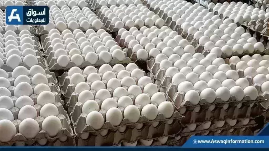 أسعار البيض في المزرعة لهذا الأحد تسجل أرقامًا جديدة
