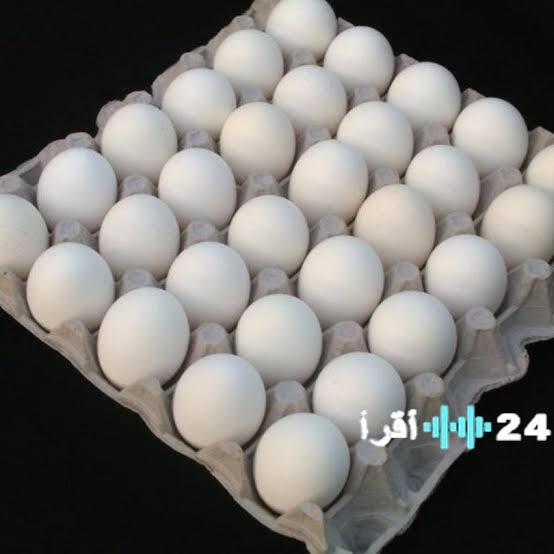 سعر كرتونة البيض يواصل الارتفاع اليوم الاثنين 2 فبراير 2026