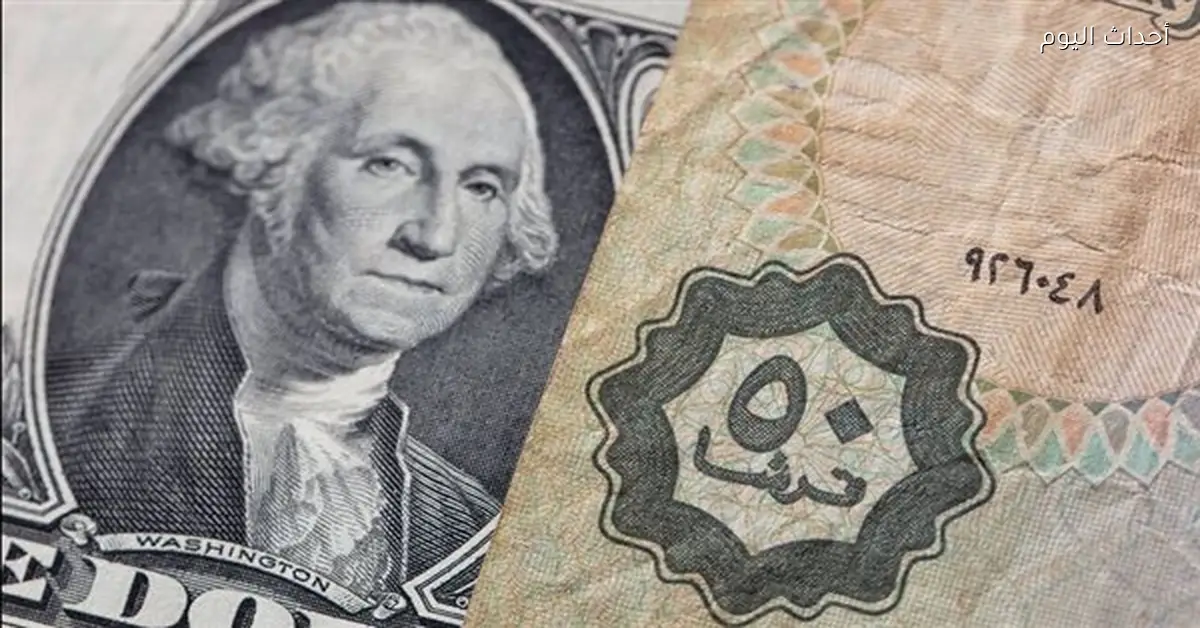 «استقرار سعر الدولار مقابل الجنيه المصري في البنوك اليوم»