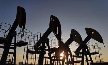 «بشرى سارة لميزانيتك» هبوط حاد يثلج الصدور في أسعار الوقود اليوم 3 فبراير