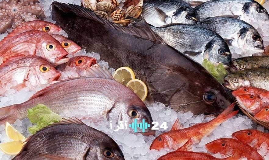 «مائدة السمك… في مهب التوقعات!» بورصة الأسماك ترصد: مؤشرات وتوقعات ديناميكية الأسعار ليوم الثلاثاء 3 فبراير 2026