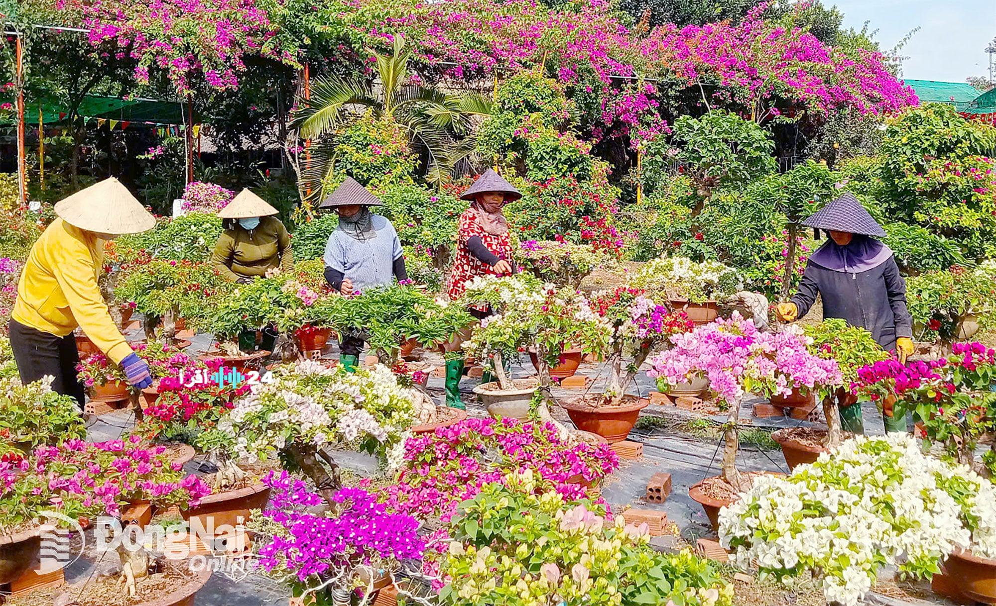 «موسم الوظائف الذهبية» ريف فيتنام ينتعش بآلاف الفرص مع حلول رأس السنة التقليدية تيت