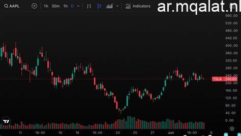 أسعار الأسهم في البورصة المصرية الخميس 5 فبراير 2026