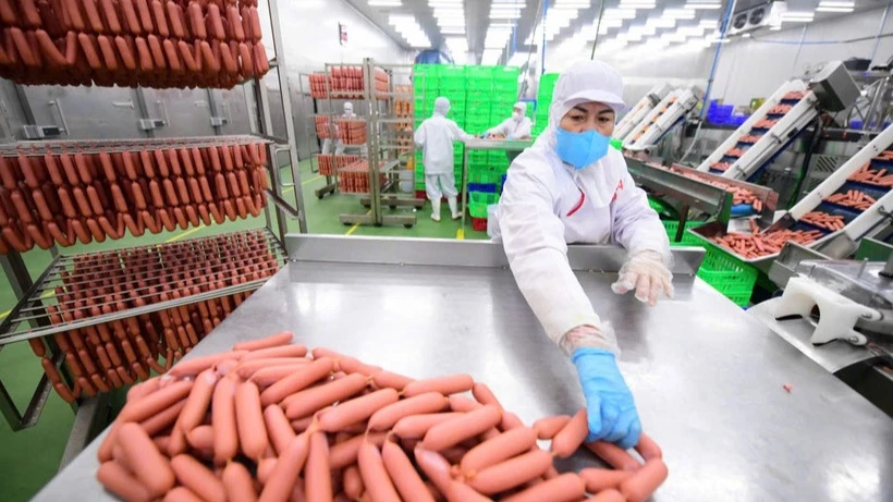 «تأهبوا للتغيير المالي» 2026 إعادة تقييم الرواتب ومساهمات التأمينات الاجتماعية تداعيات وتحليلات