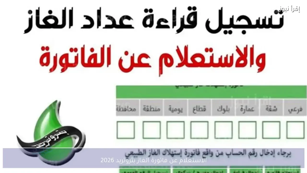 بتروتريد مصر دليل كامل لاستعلام فاتورة الغاز وتسجيل قراءة العداد 2026