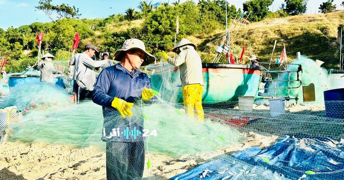 رحلات بحرية تستقطب بركات العام الجديد