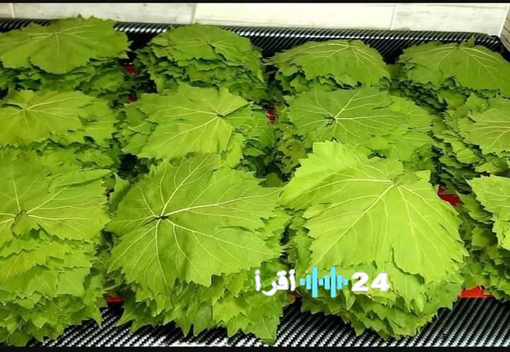 «أسعار ورق العنب تصل إلى 200 جنيه، فمتى نشهد انخفاضًا؟»