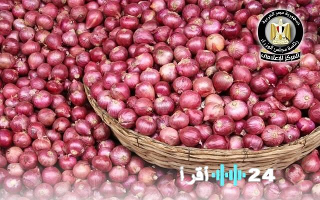 القاهرة تفتح آفاقًا جديدة لصادرات البصل والثوم في فيتنام