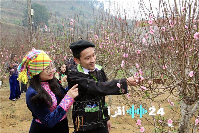 أجواء مشمسة تسود المنطقة الشمالية في فترة بعد الظهر