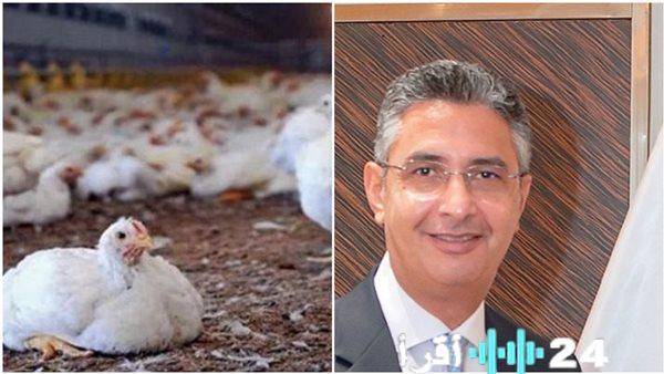 «انفراجة بالسوق» تراجع ملحوظ في تكلفة الدواجن بفعل حزمة إجراءات حكومية واتحاد الصناعة يوجه إيضاحات عاجلة للمستهلكين