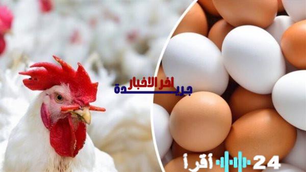 «نبض السوق» كشف تفصيلي لحركة أسعار الدواجن بين الإنتاج الوطني والمستورد