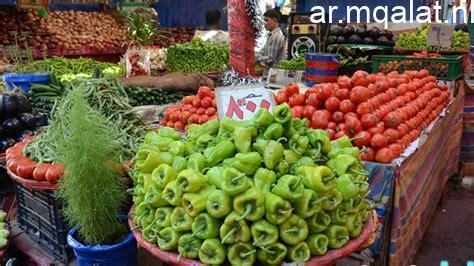 كم يبلغ سعر الطماطم؟ – مقالات نيوز