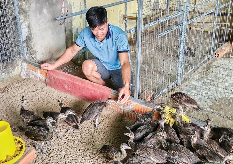 ضرورة اتخاذ تدابير استباقية لمواجهة تفشي الأمراض بين الماشية