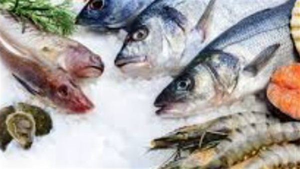 أسعار السمك تتفاوت بين البلطي الممتاز بـ 67 جنيهًا والجامبو الذي يصل إلى 1200 جنيه