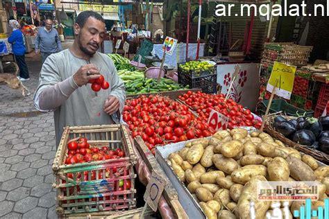 تطورات أسعار الخضروات والفواكه في المنوفية، الخميس 12 فبراير 2026 – مقالات نيوز