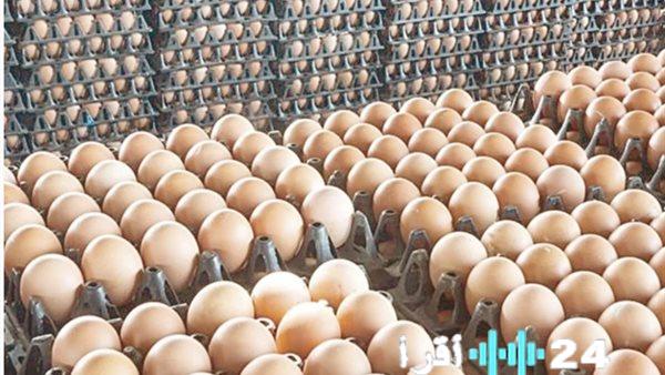 أسعار كرتونة البيض اليوم الخميس والأصناف المختلفة في الأسواق