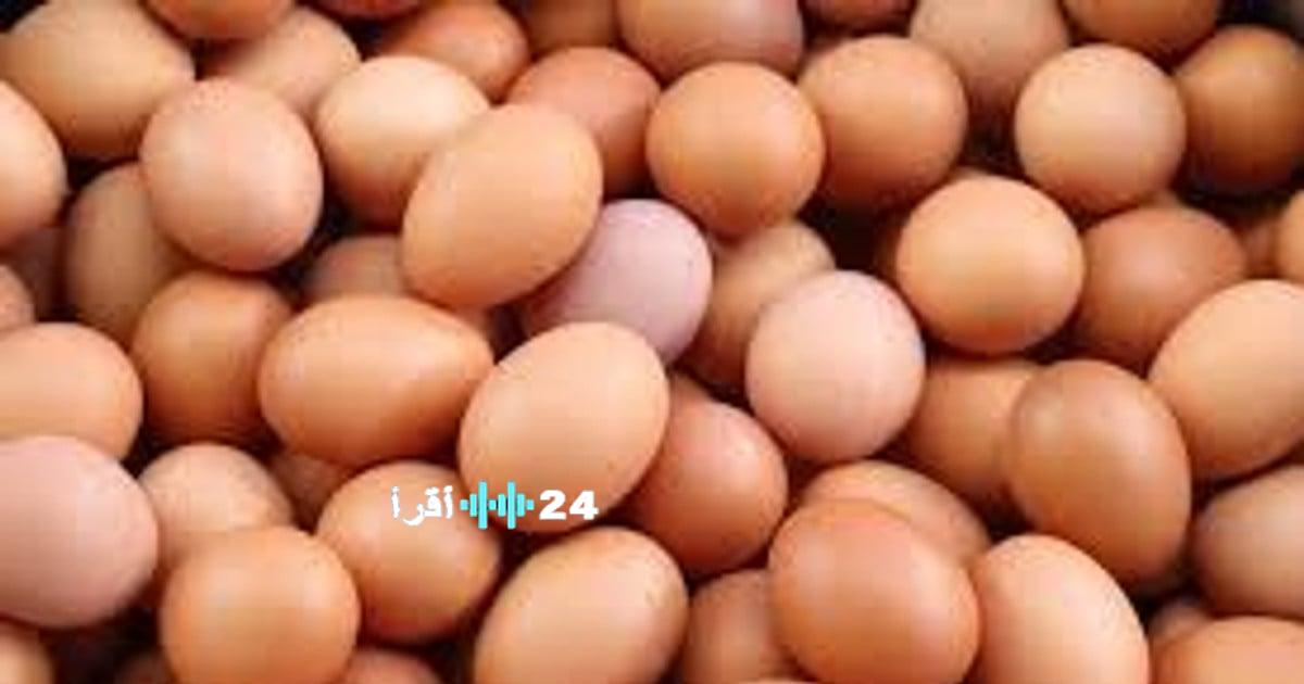 استعداد فرنسا لتحقيق استهلاك قياسي للبيض يصل إلى 237 بيضة لكل فرد بحلول عام 2025