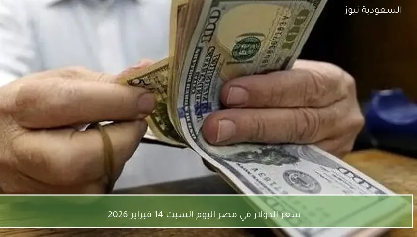 «استقراره المفاجئ» سعر الدولار في مصر اليوم السبت 14 فبراير 2026