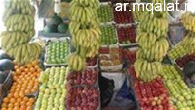 أسعار الخضار والفواكه في المنوفية اليوم الأحد 15 فبراير 2026