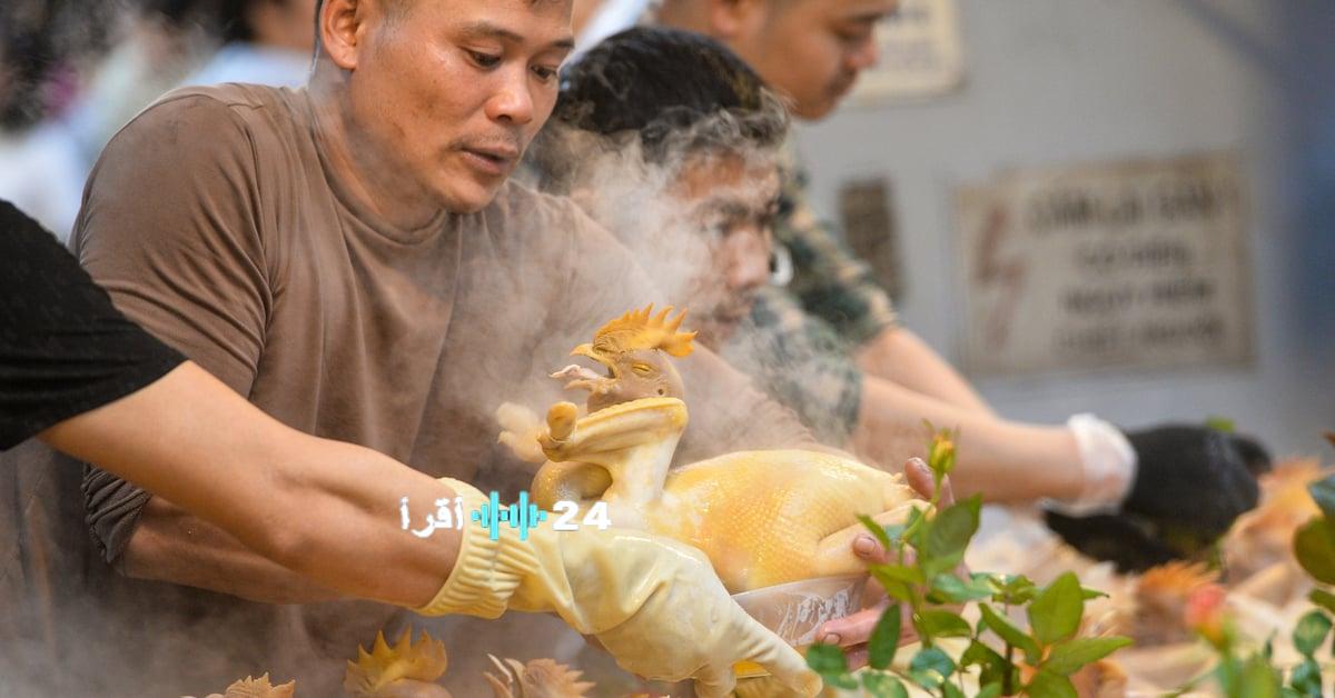 أسعار الدجاج المزخرف تصل لمليون دونغ فيتنامي في أسواق هانوي خلال احتفالات السنة القمرية الجديدة