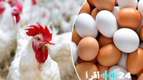 «مائدة المستهلك في صدارة الاهتمام…» نشرة أسعار الدواجن بأنواعها والبيض اليوم الإثنين 16 فبراير 2026 بالأسواق المصرية: تحديثات لحظية تهم كل بيت