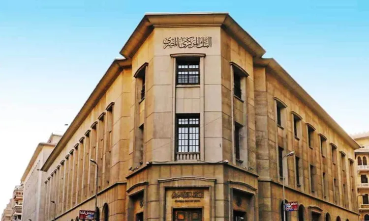 «الاستدامة والتمويل الأخضر: نائب محافظ البنك المركزي يؤكد أهمية إدارة مخاطر المناخ في القطاع المالي»