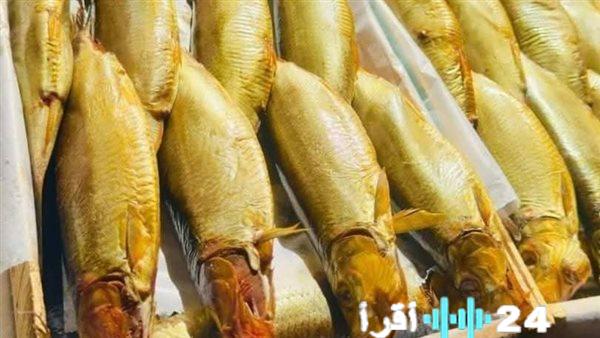 أسعار الفسيخ والرنجة في الغربية بتاريخ 17 فبراير 2026