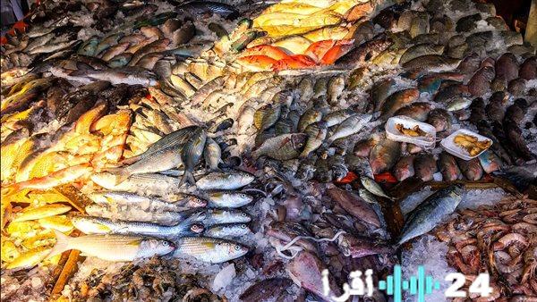 أسعار الأسماك في السوق اليوم الثلاثاء 17 فبراير