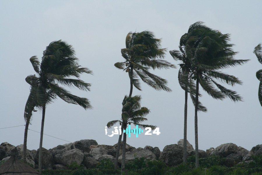 رياح مثيرة للأتربة وضباب كثيف يعم مناطق عدة الإثنين