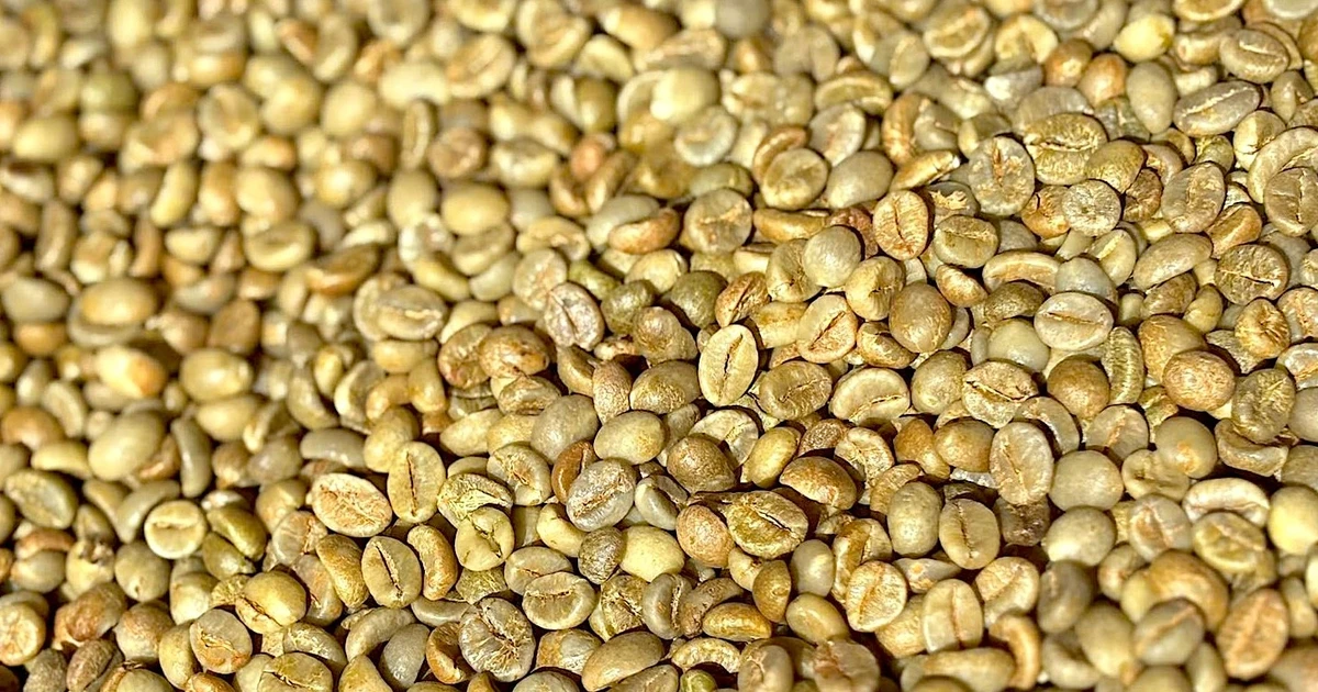 «تراجع ملحوظ» أسعار البن العالمية تنخفض بأكثر من 4% في 18 فبراير