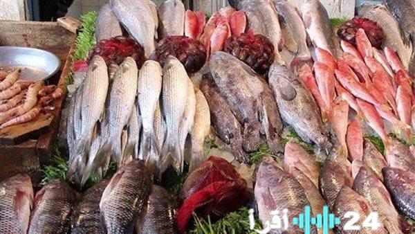 أسعار الأسماك في سوق العبور اليوم الأربعاء تشهد ارتفاعًا في الجمبري وتراجعًا في البوري