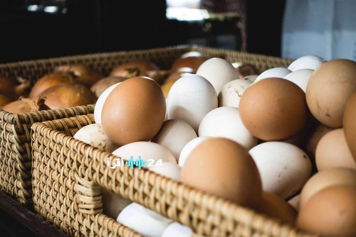 «مائدة الإفطار اليومية» تحديث اقتصادي يكشف عن أرقام البيض صباح الأحد 22 فبراير 2026